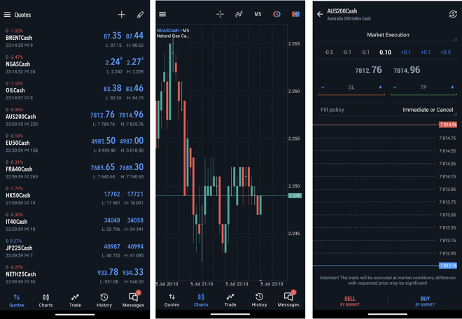 A watch list of selected instruments (left), a chart screen (middle), an order placing window (right)