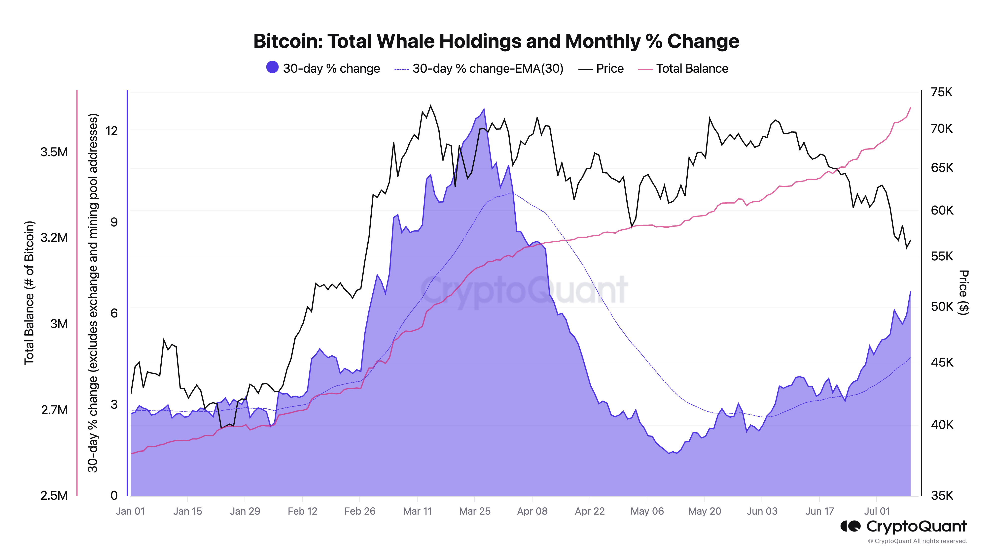 Bitcoin Total Whale Holdings