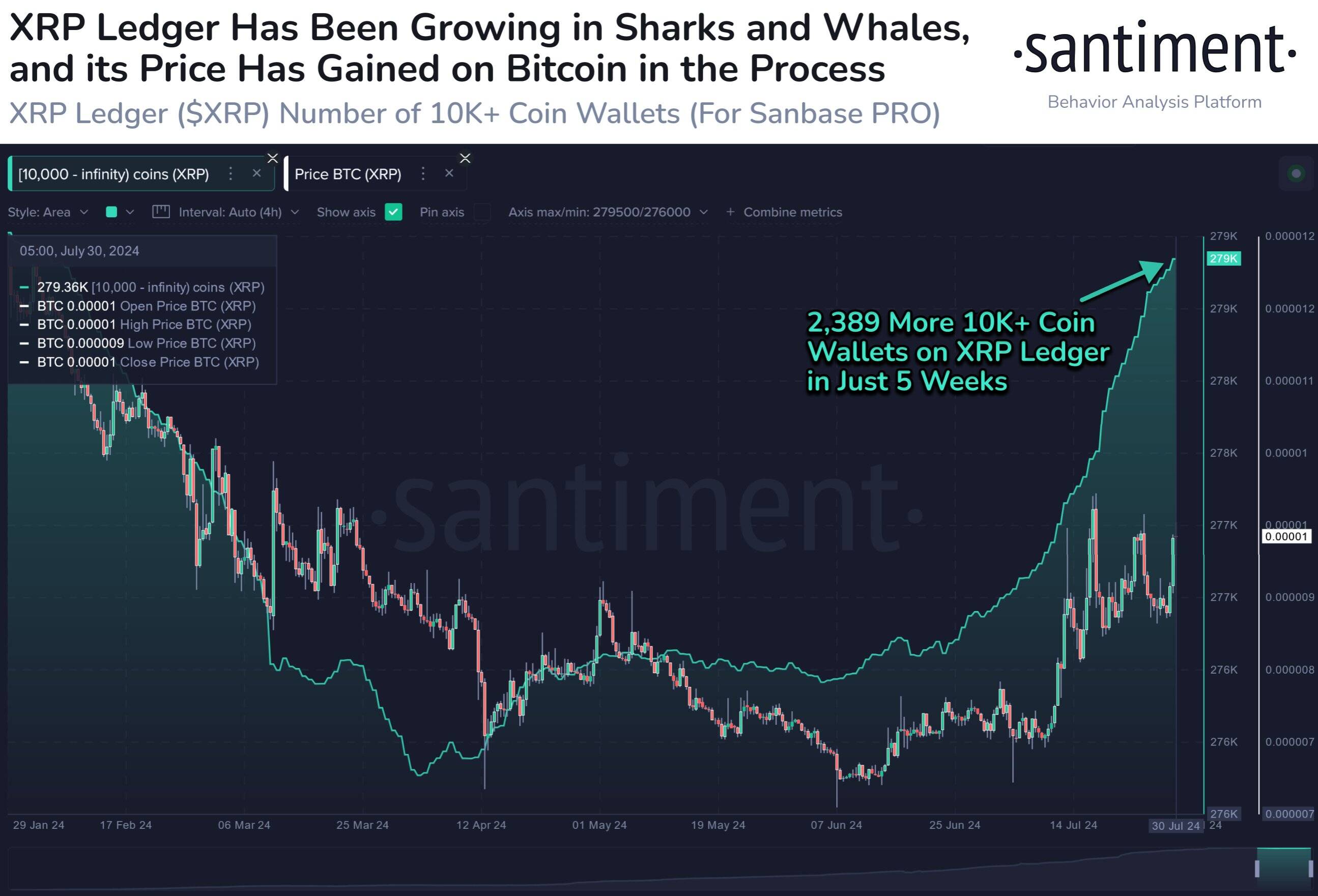 XRP whales data 