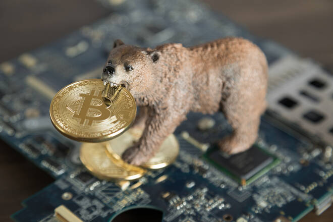 Bear biting a bitcoin, FX Empire