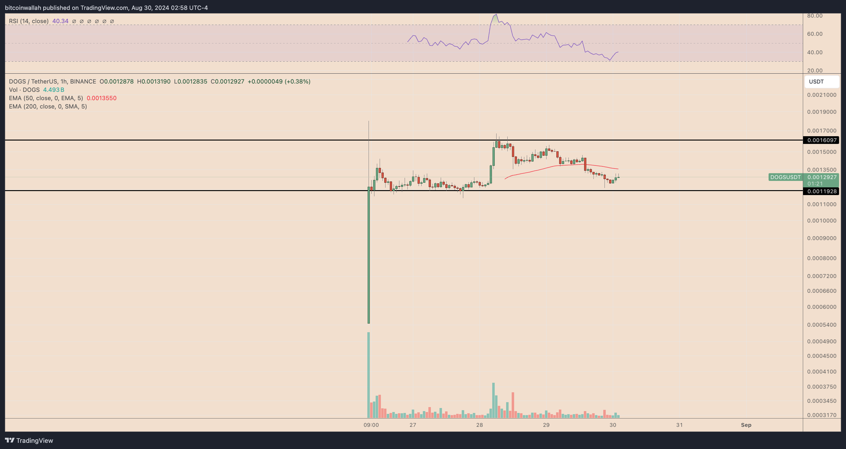 DOGSUSDT hourly price chart