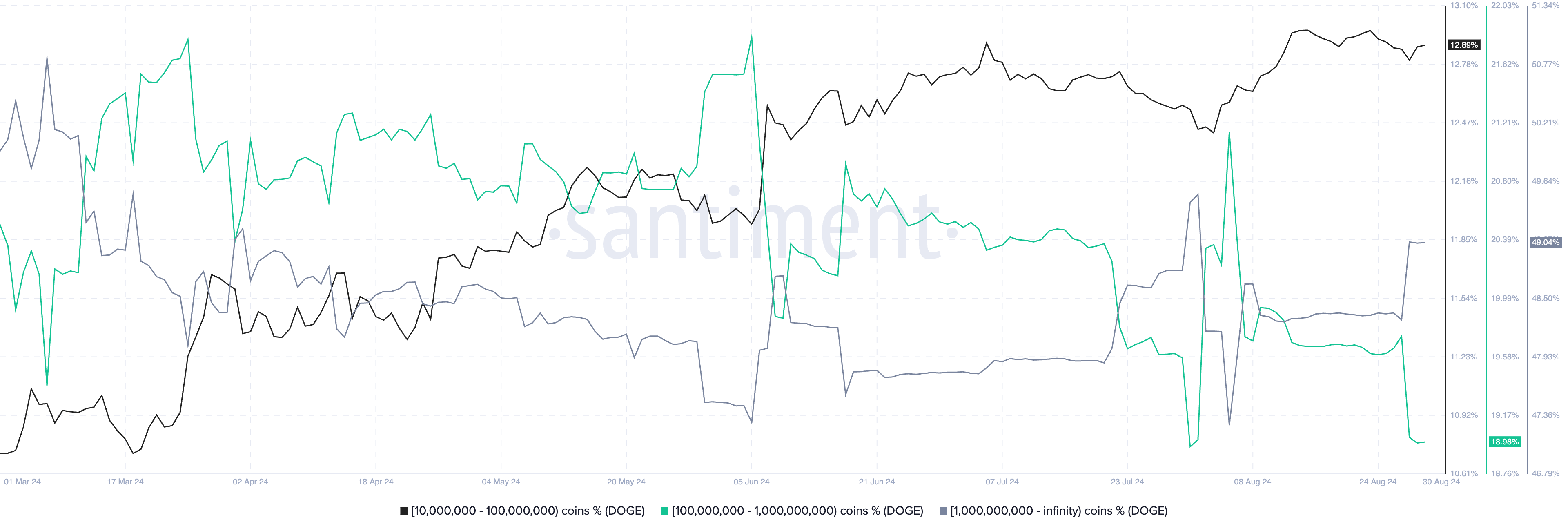 Dogecoin supply distribution among whales