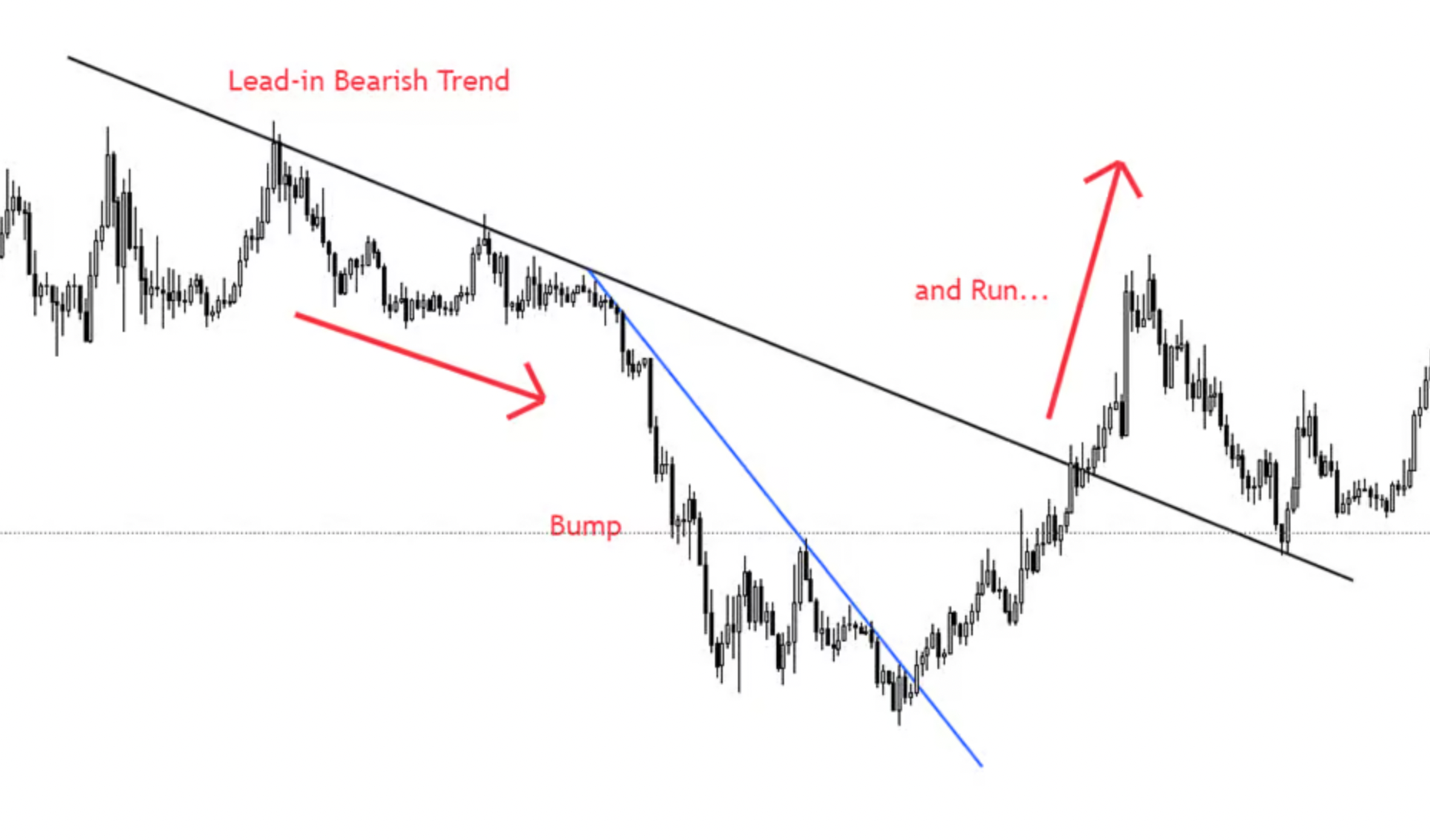 BARR Bottom Pattern illustration