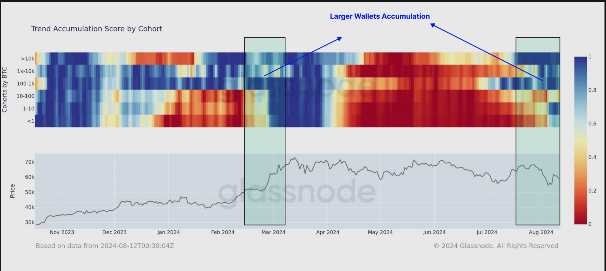 Bitcoin accumulation trend score by cohort