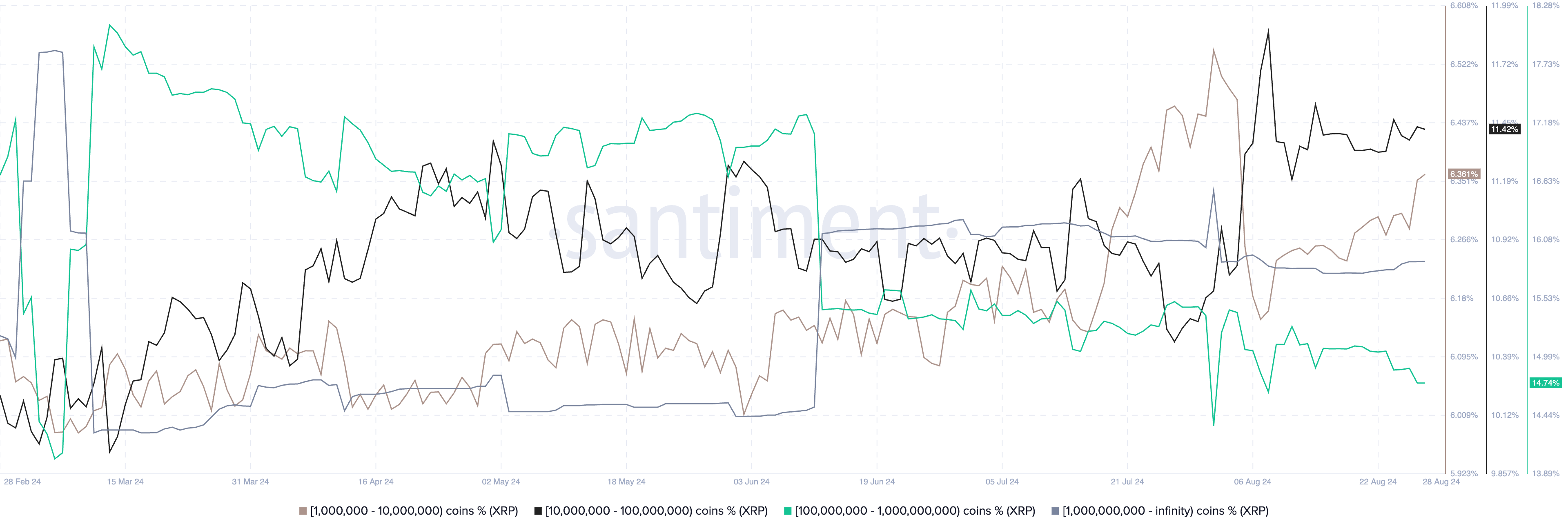 XRP whale distribution