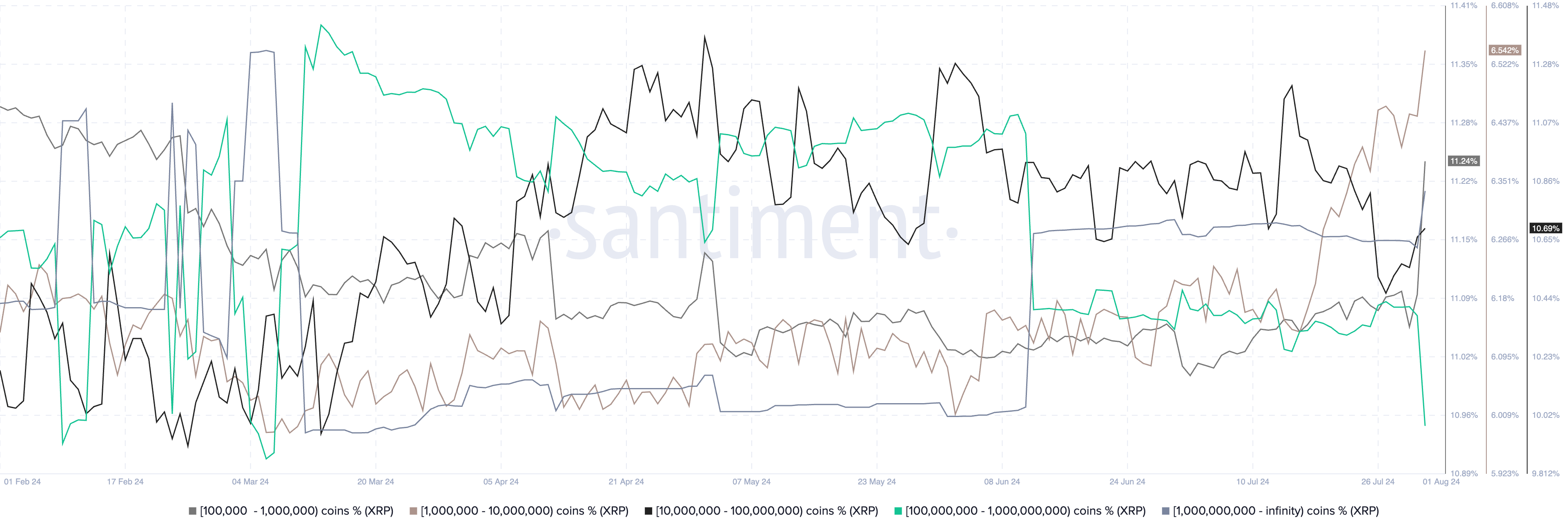 XRP supply distribution among whales