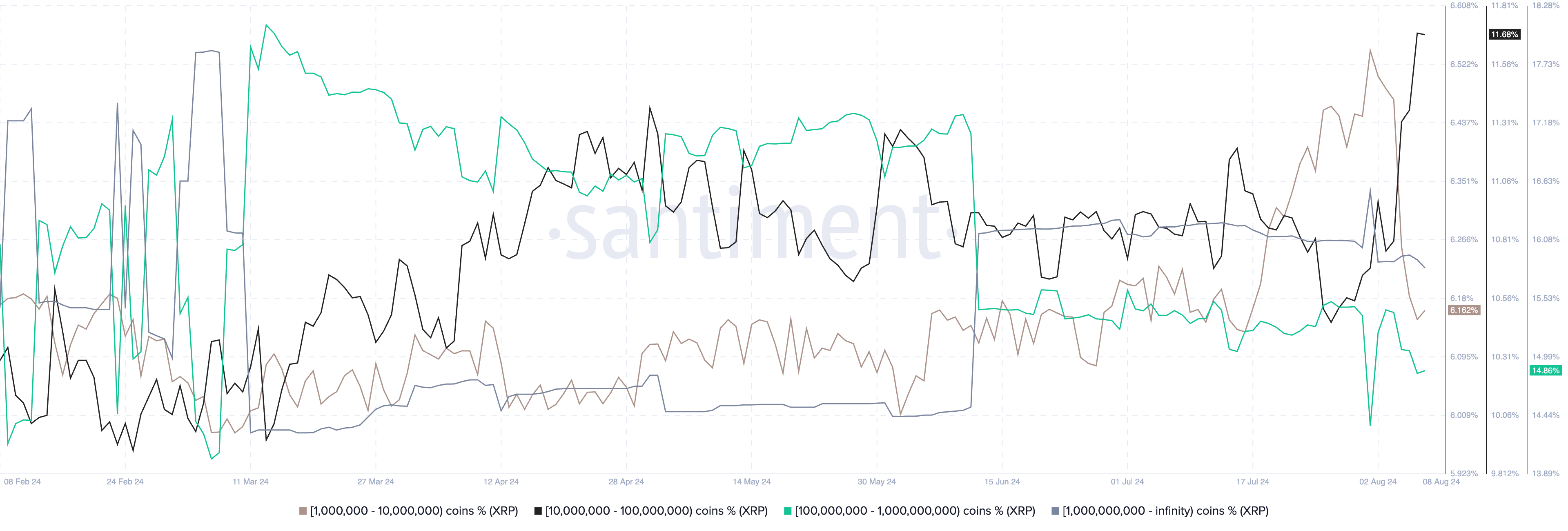 XRP whale distribution