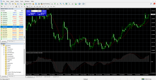 MetaTrader 4’s chart screen