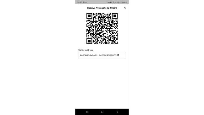 To help users avoid typos in wallet addresses, Paybis Mobile offers a convenient QR code scanning feature