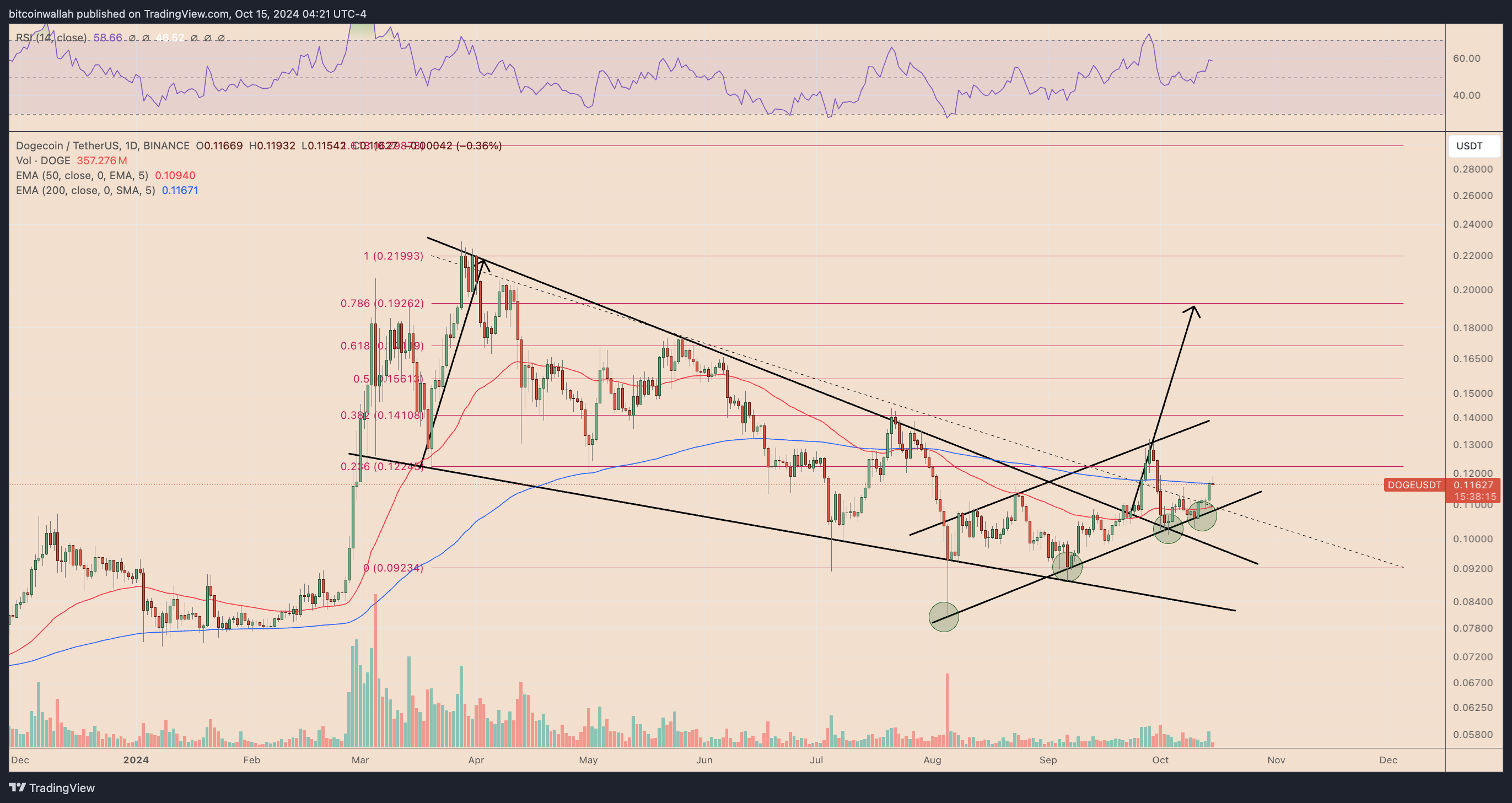 DOGE/USDT daily price chart