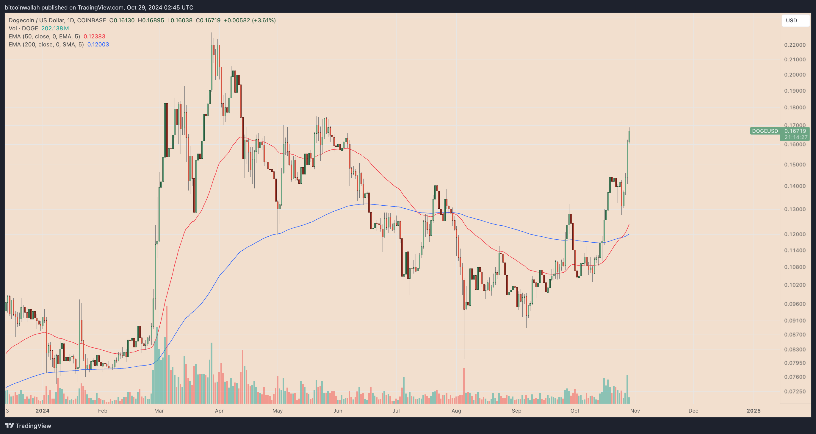 DOGEUSDT daily price chat