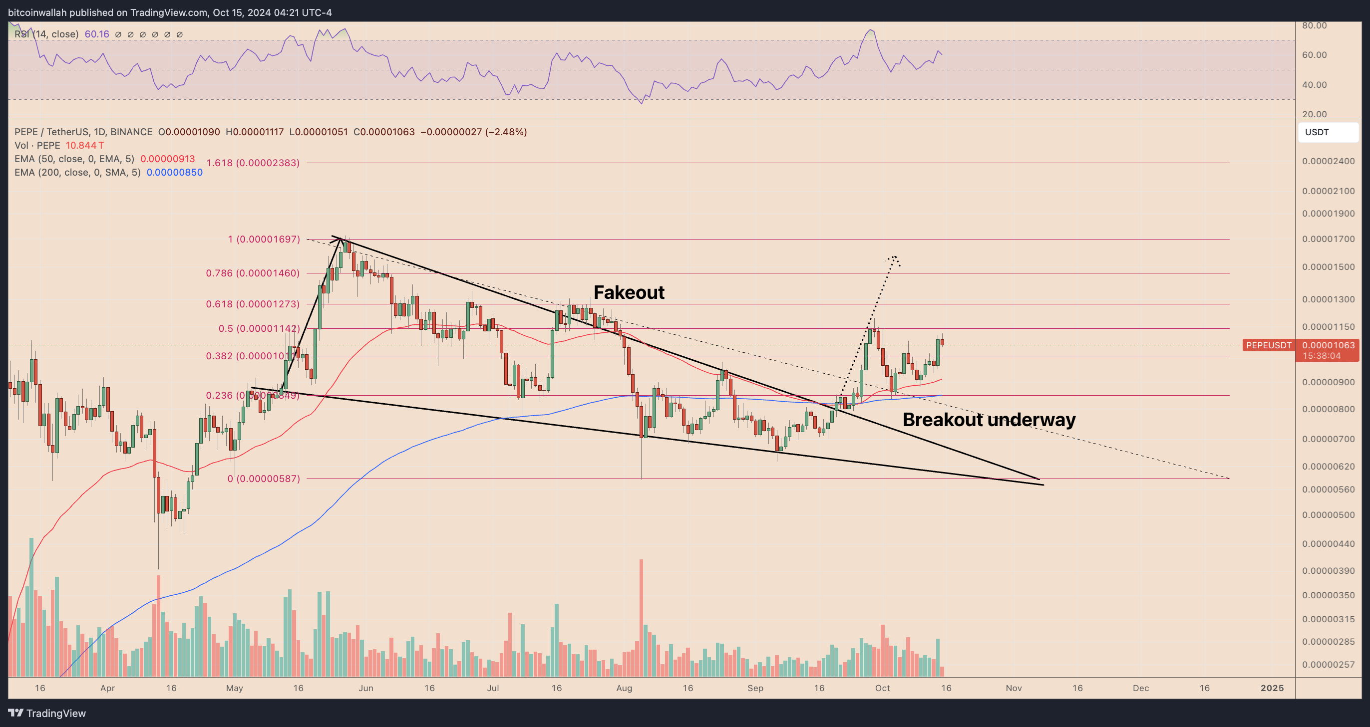 PEPEUSDT daily price chart