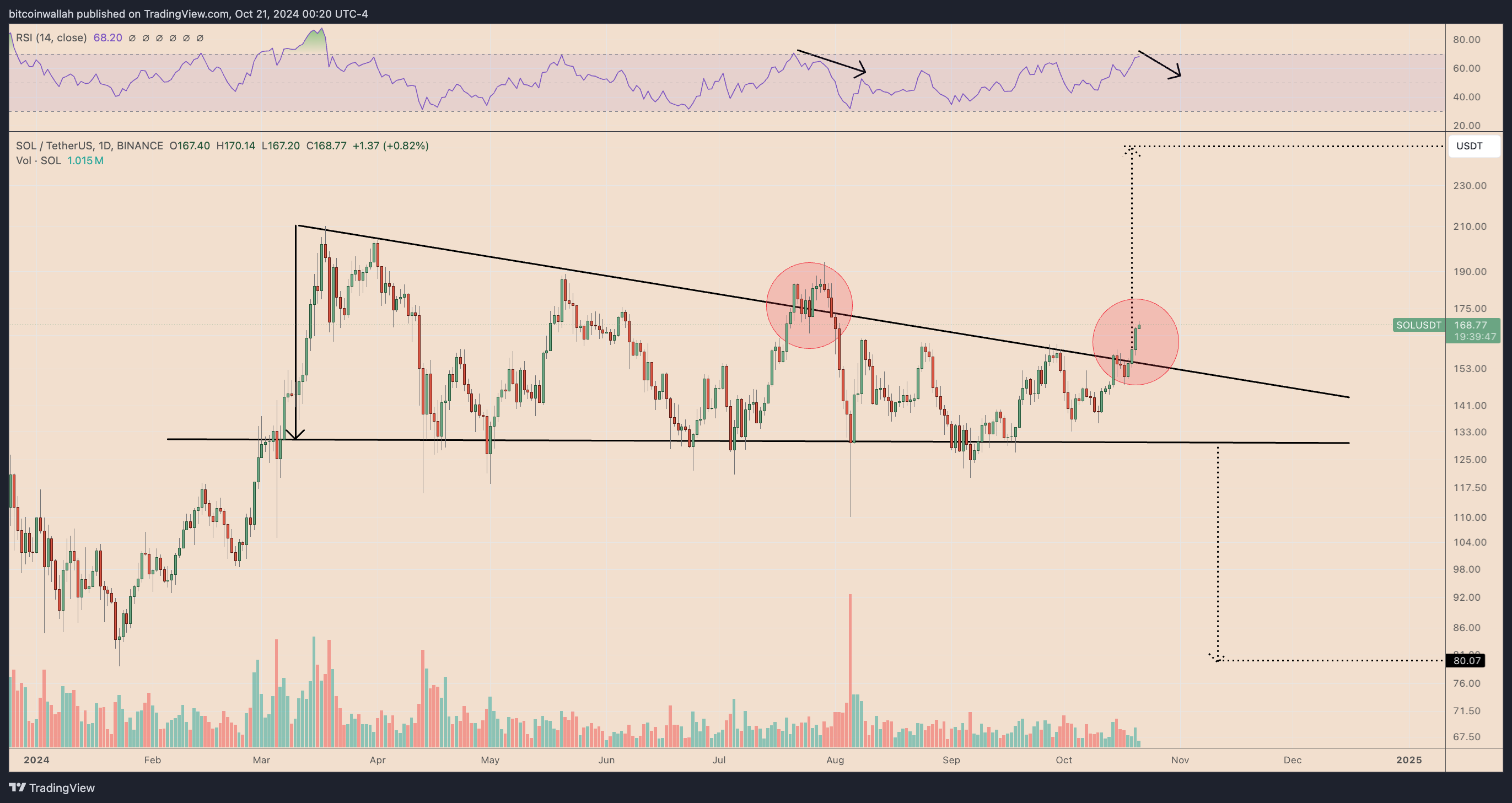 SOLUSDT daily price chart