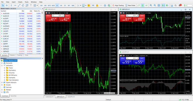 MetaTrader 5’s main panel