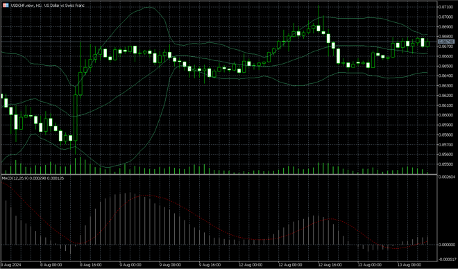 MetaTrader 5’s chart screen