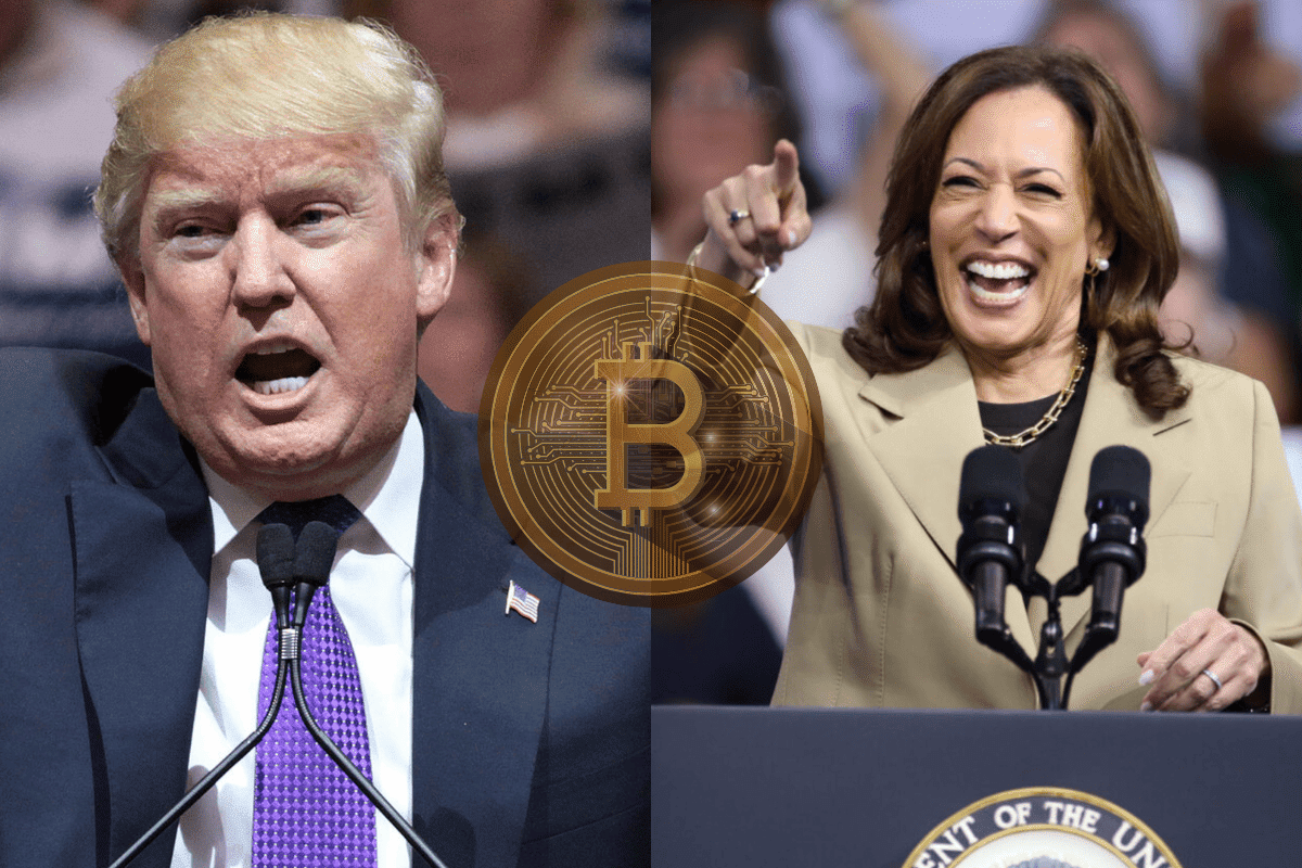 Harris vs Trump How Will the US Election Result Impact Bitcoin