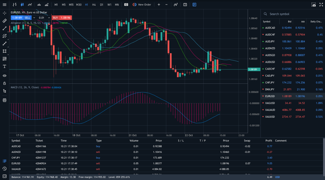 MT5 WebTrader platform