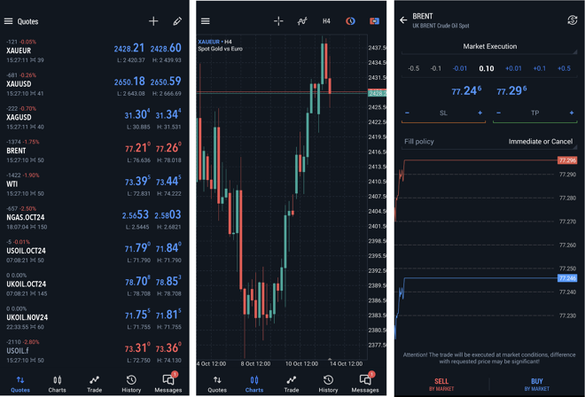 Watchlist of selected instruments (1), chart window (2), order placing window (3)