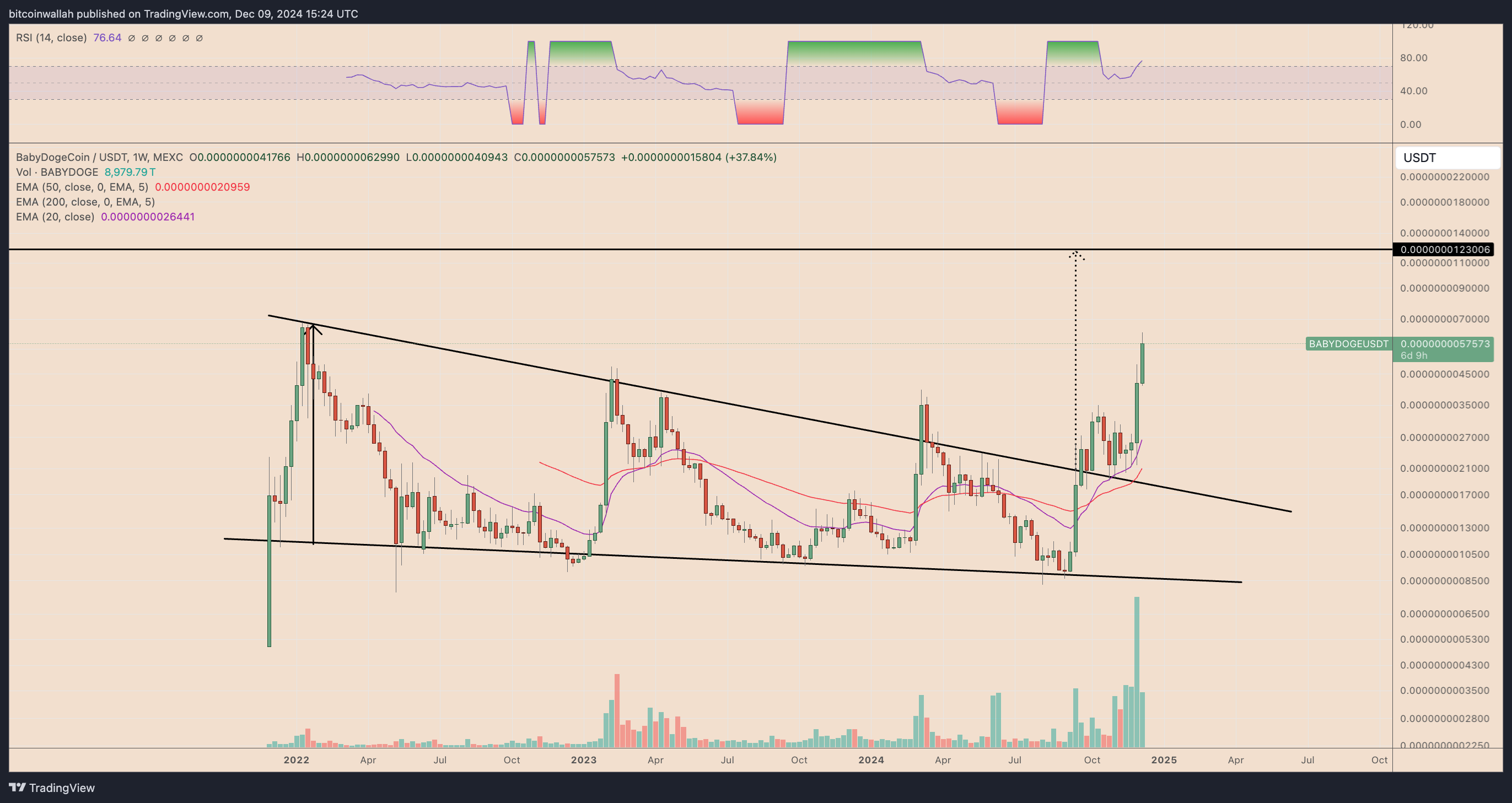 BABYDOGE/USDT weekly price chart