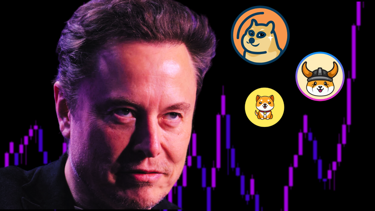 DOGE, BABYDOGE, FLOKI Price Analysis: Elon Musk Keeps Memecoins Bullish |  FXEmpire