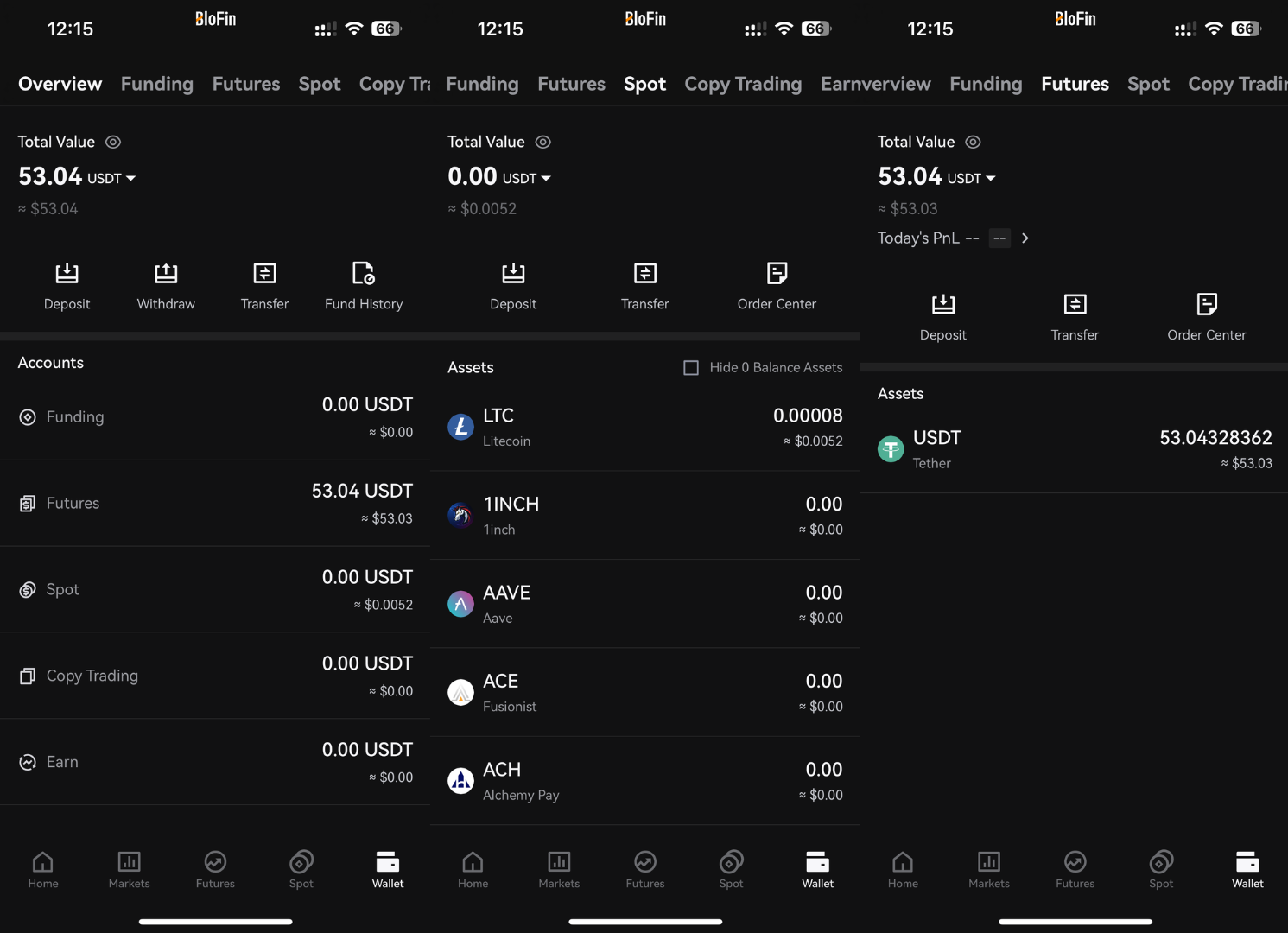 BloFin Portfolio Overview