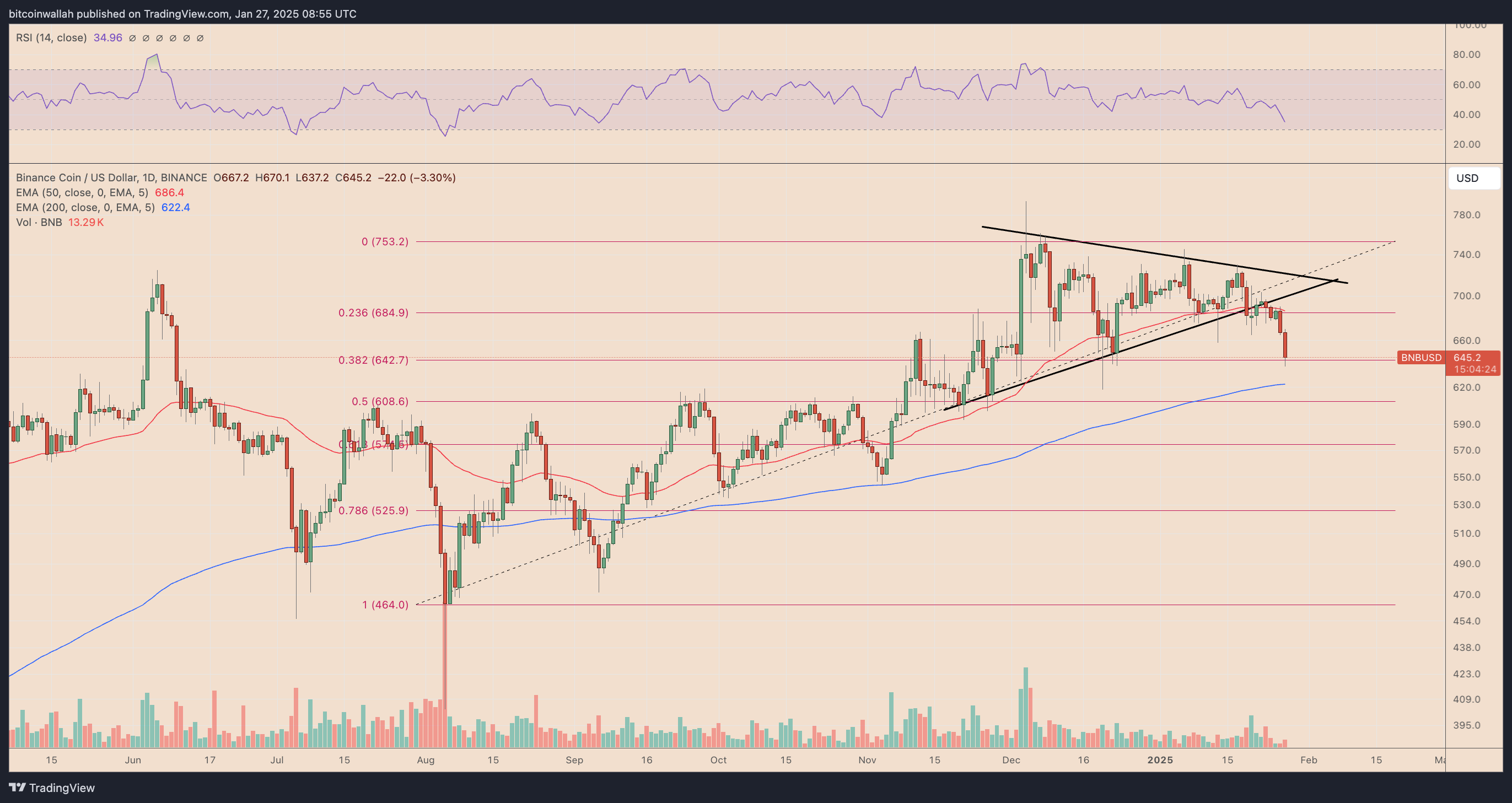 BNB/USD daily price chart