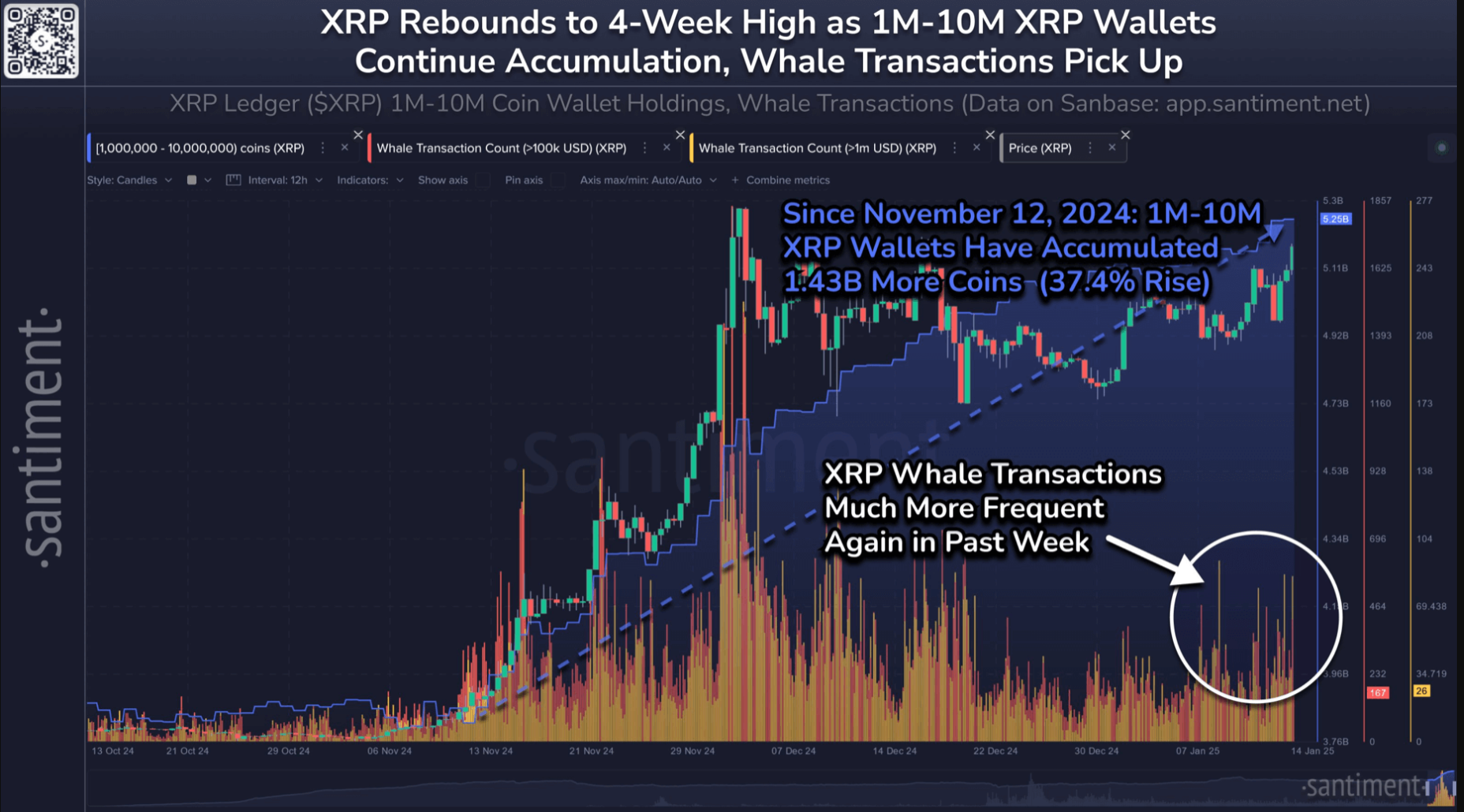 XRP 1M-10M Address Supply Data