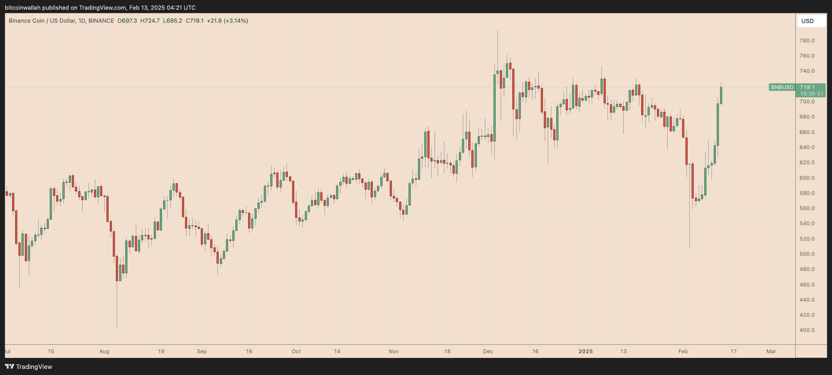 BNB/USD daily price chart