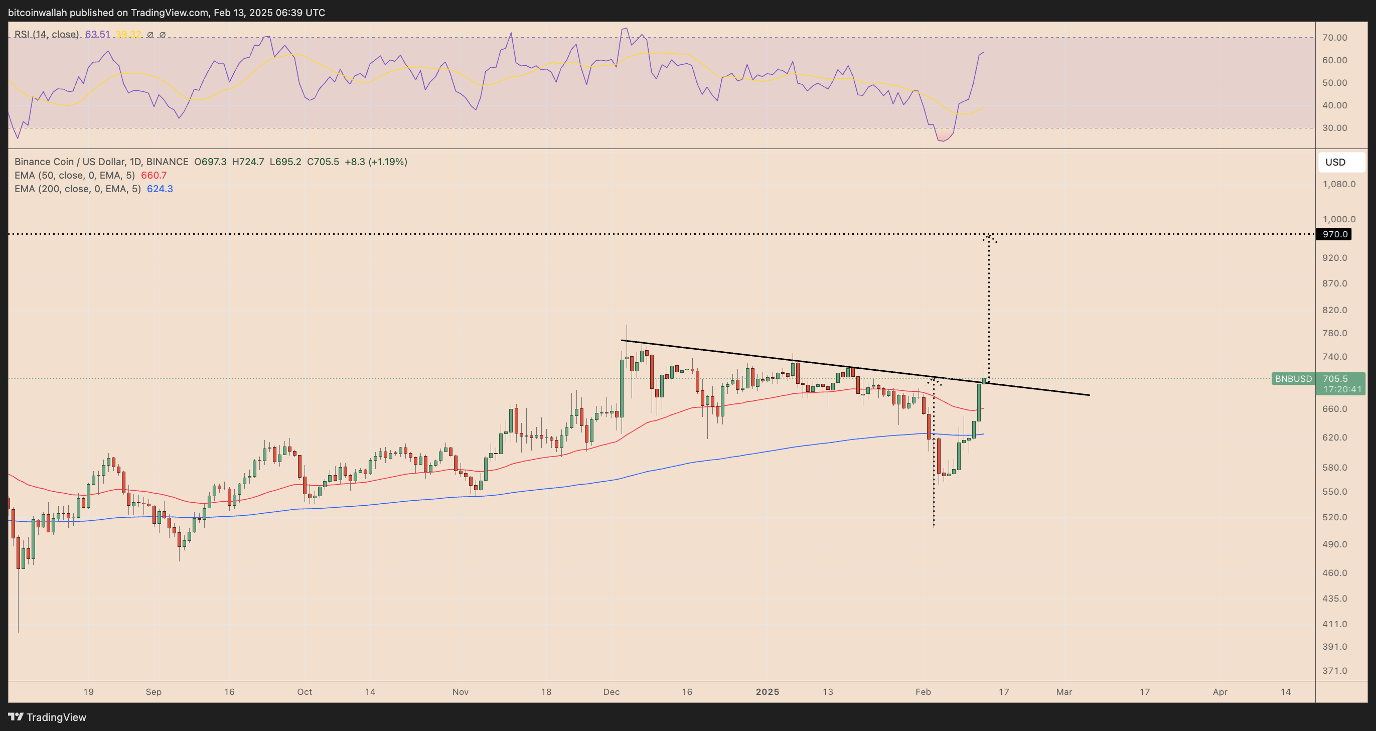 BNBUSD daily price chart