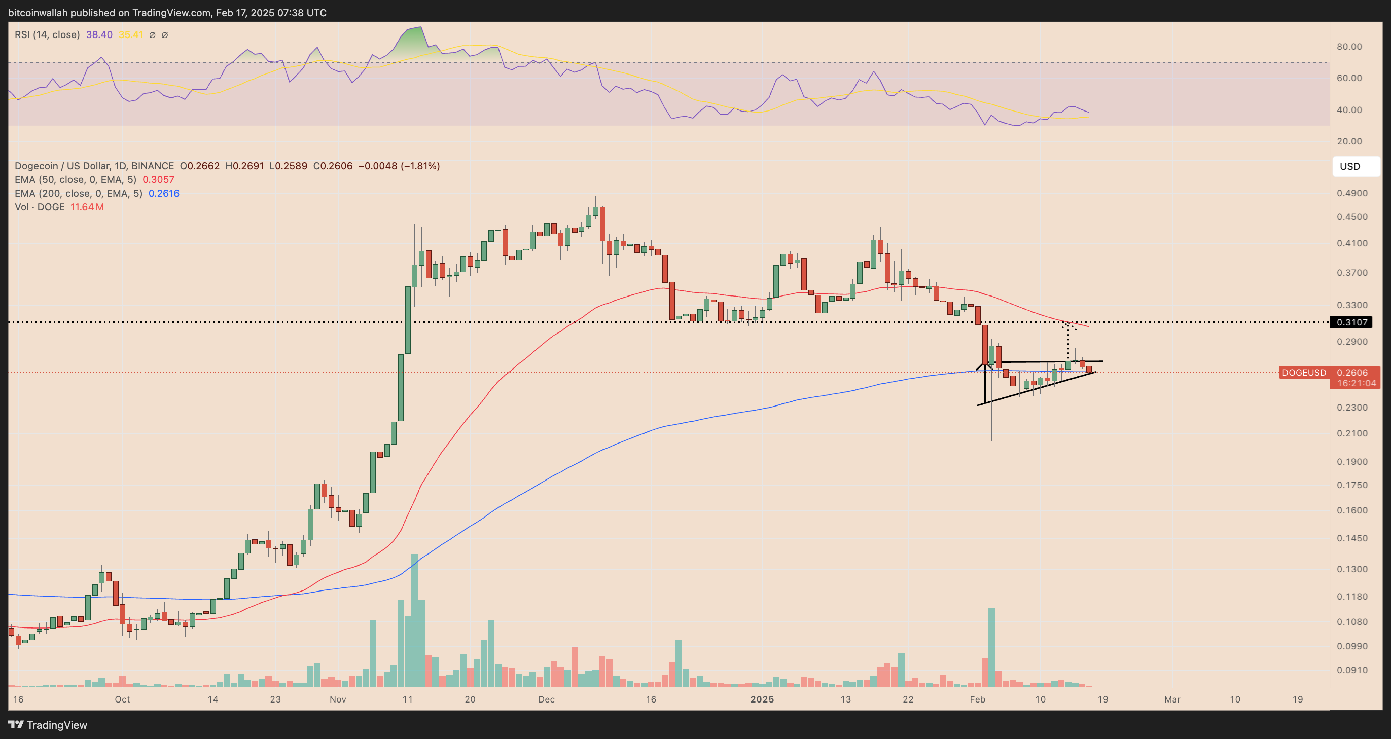 DOGE/USD daily price chart