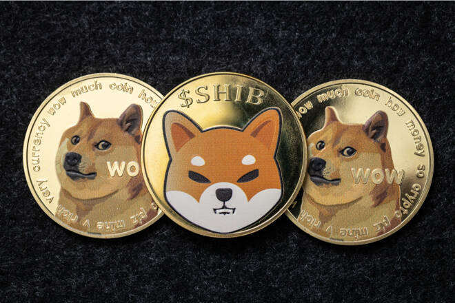 Shiba Inu and Doge coins. FX Empire