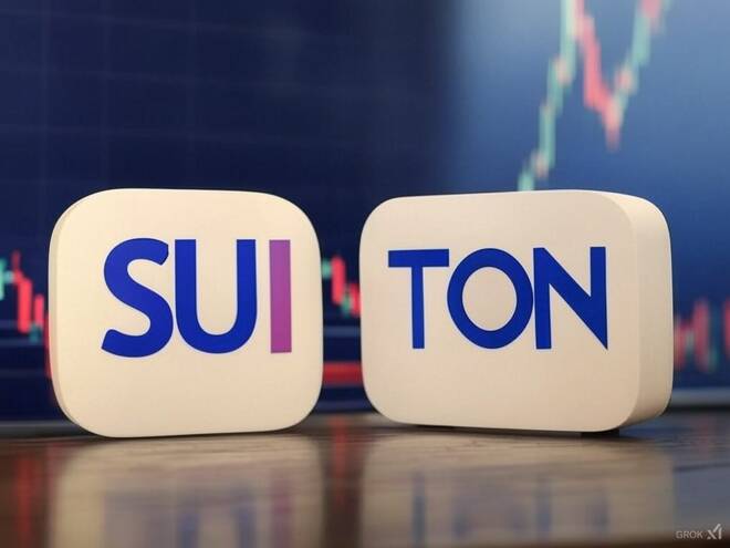 SUI and TON concept