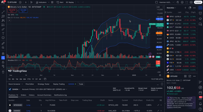 TradingView platform