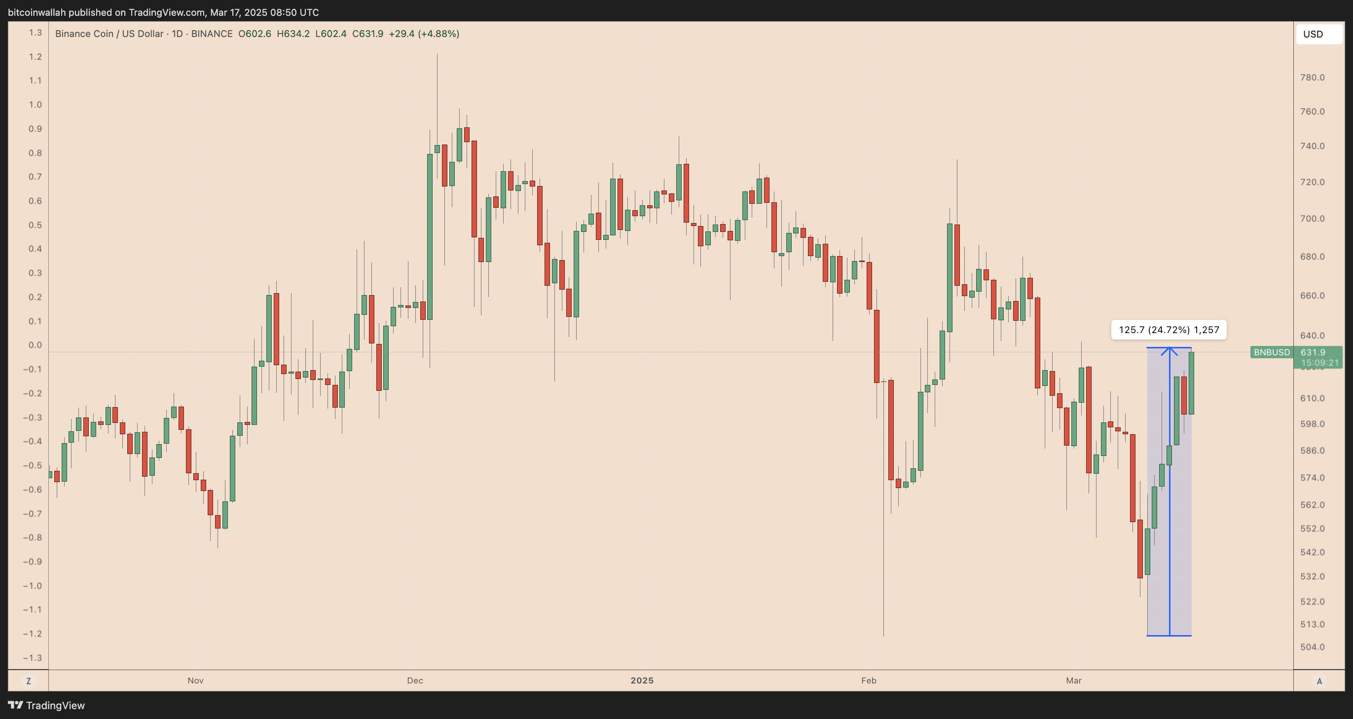 BNB/USDT daily price chart