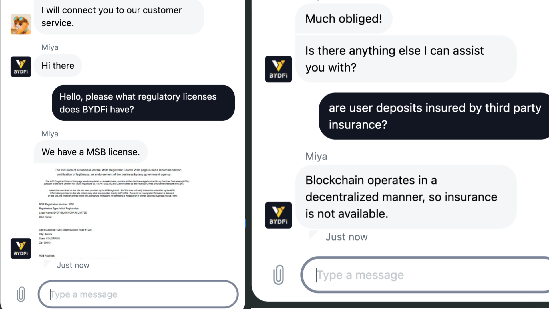 Le risposte del chatbot di BYDFi alle mie domande