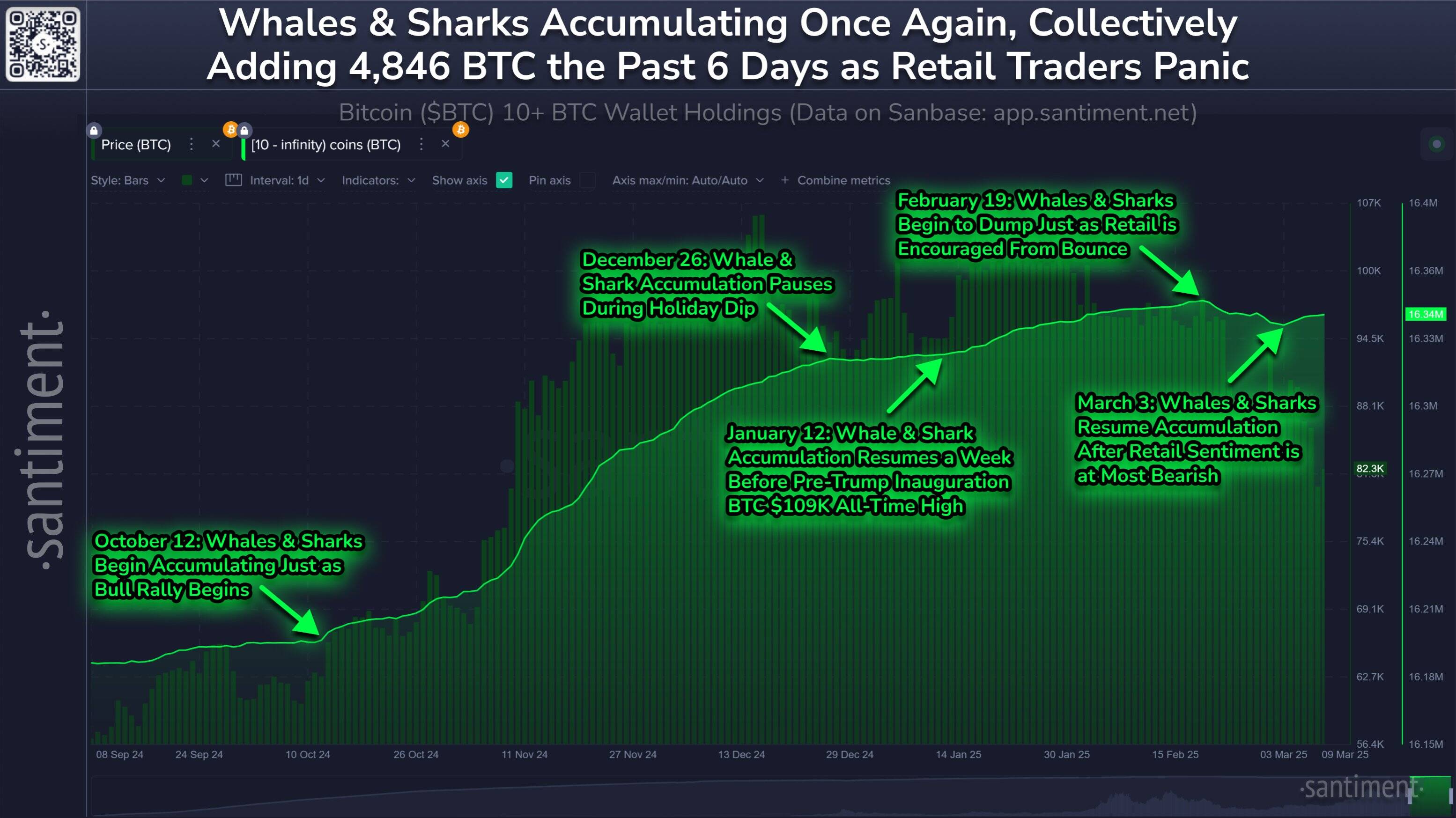 Whale and sharks accumulation chart