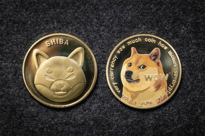 Shiba and Doge Coins. FX Empire