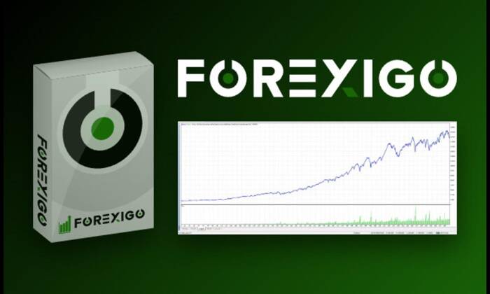 ForexIGO Trading Interface