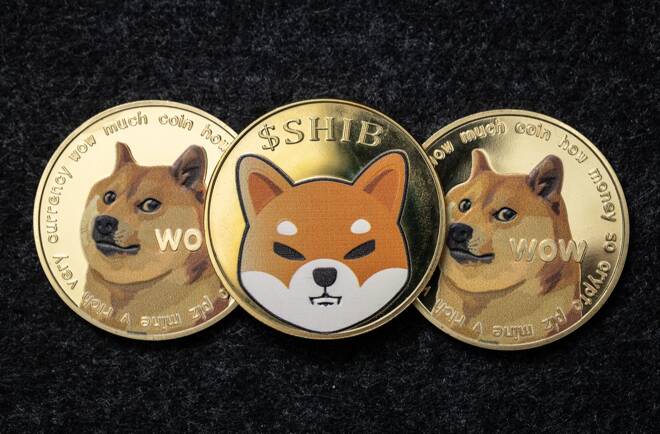 Shiba Inu and Doge coins, FX Empire