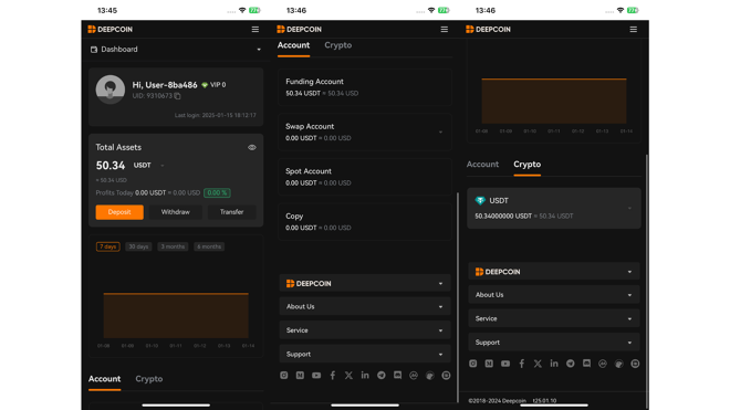 Deepcoin Mobile Portfolio Overview