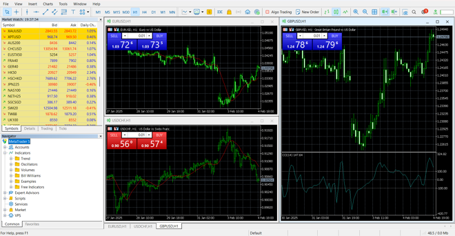 MetaTrader 5’s main panel