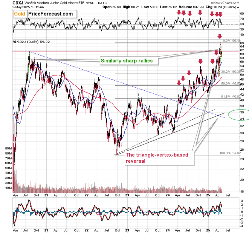 Gold, Miners, Commodity Investors: Watch Out for Those Reversals! - Image 6