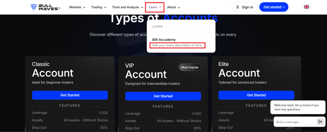 Bullwaves’ unfinished website