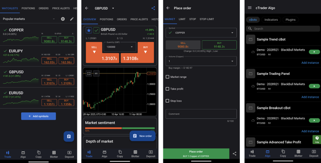 Watchlist of selected instruments (1), chart screen (2), order placing screen (3), trading bots (4)