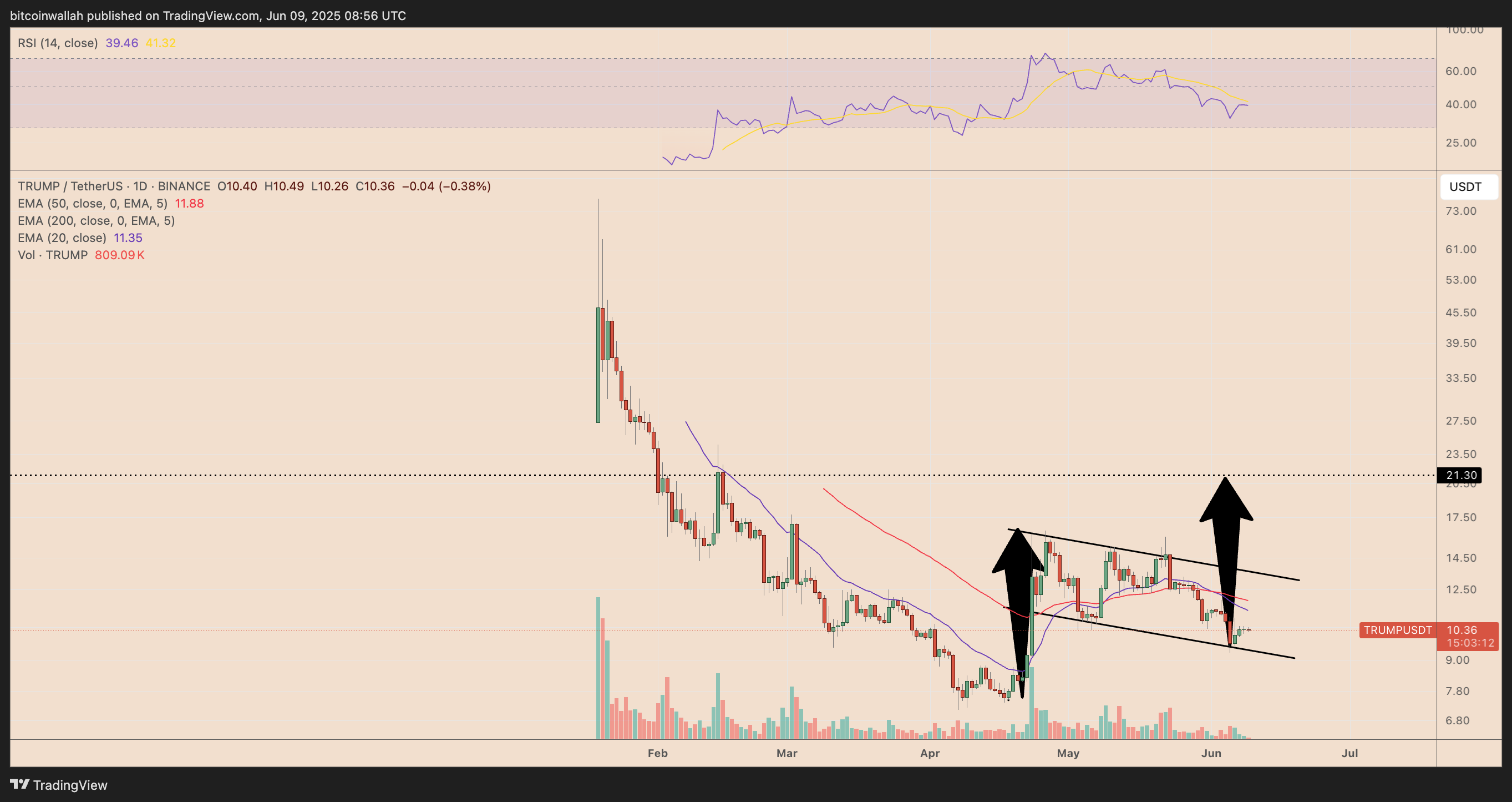 TRUMP/USDT daily price chart