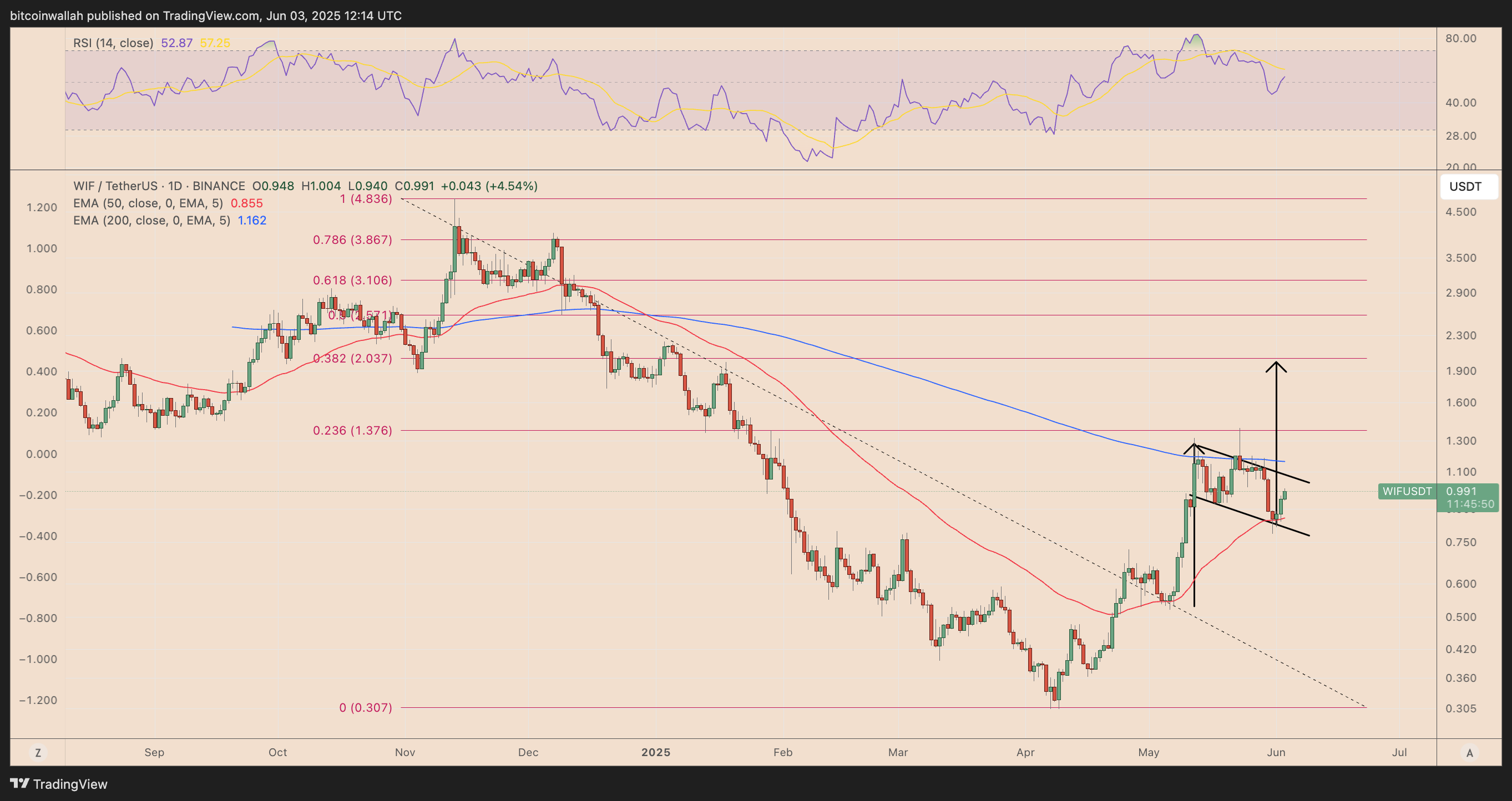 WIF/USDT daily price chart