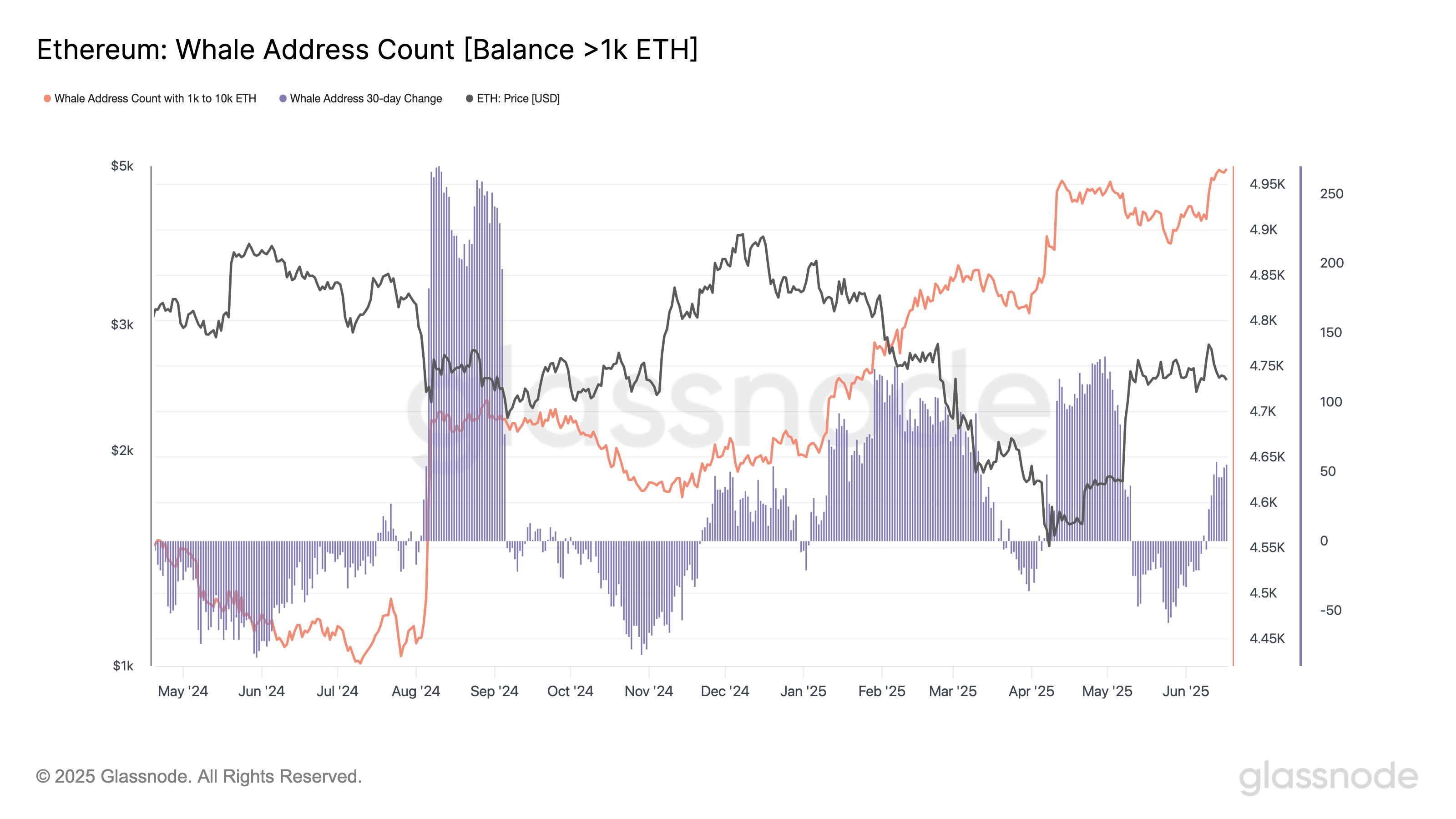 Ethereum whale addresses count
