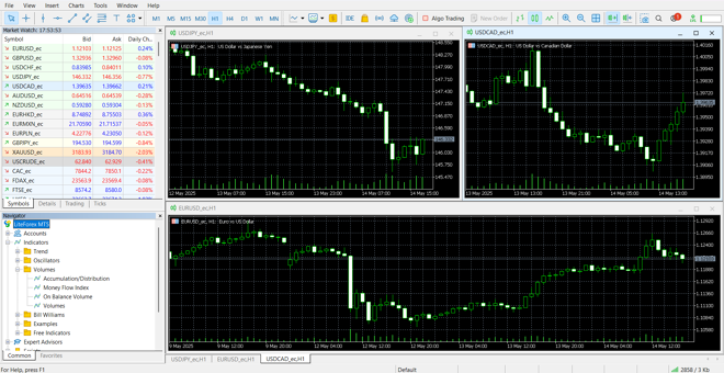 MetaTrader 5’s main panel