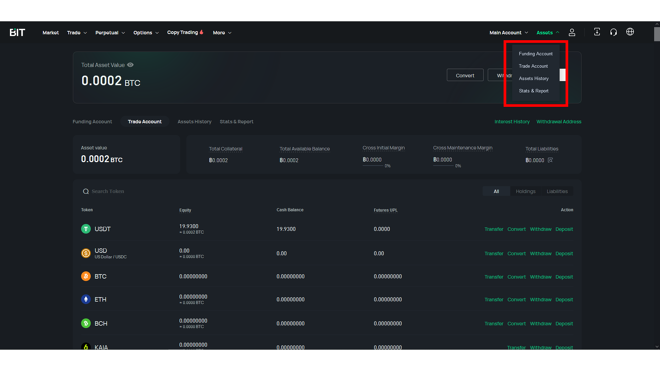 Different account types on BIT.com
