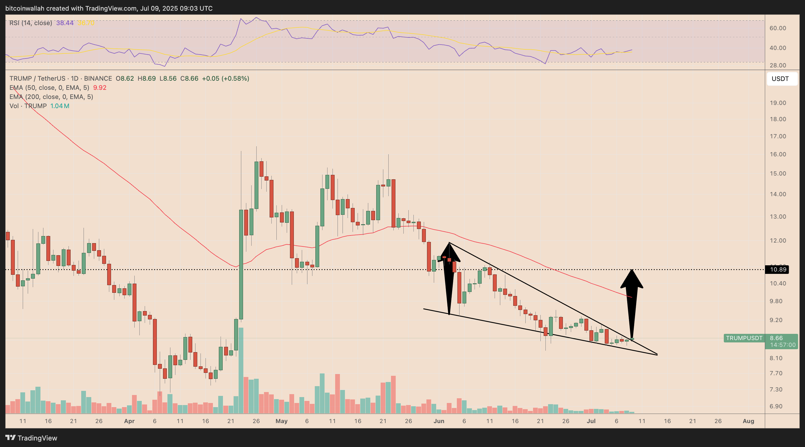 TRUMP/USDT daily price chart